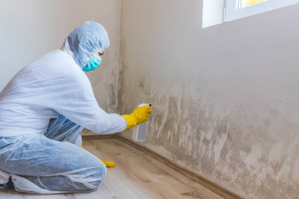Hvac And Air Duct Mold Remediation inspection of HVAC system in Winterville