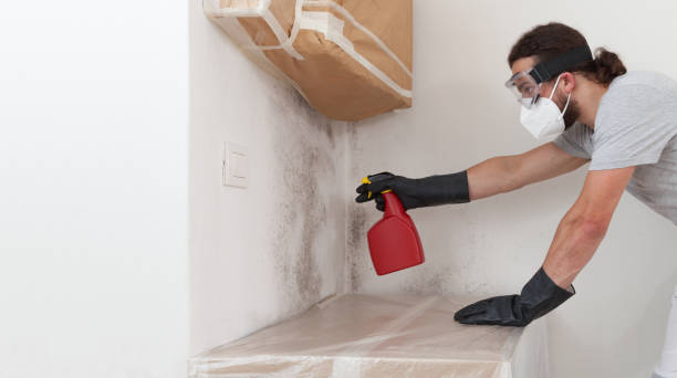 Attic Mold Remediation treatment on roof deck in Winterville